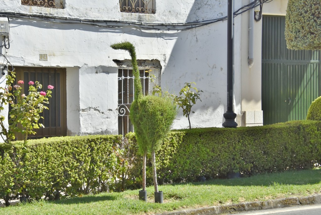 Foto: Arte vegetal - Losar de la Vera (Cáceres), España