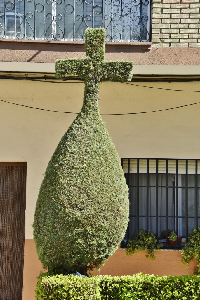 Foto: Arte vegetal - Losar de la Vera (Cáceres), España