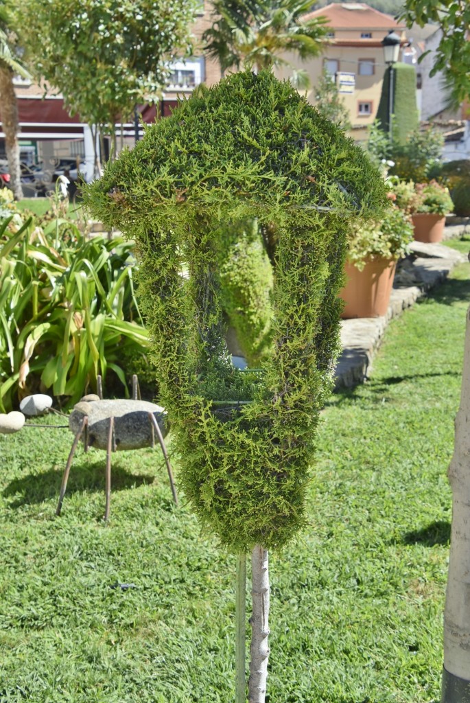 Foto: Arte vegetal - Losar de la Vera (Cáceres), España