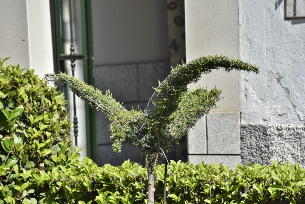 Foto: Arte vegetal - Losar de la Vera (Cáceres), España