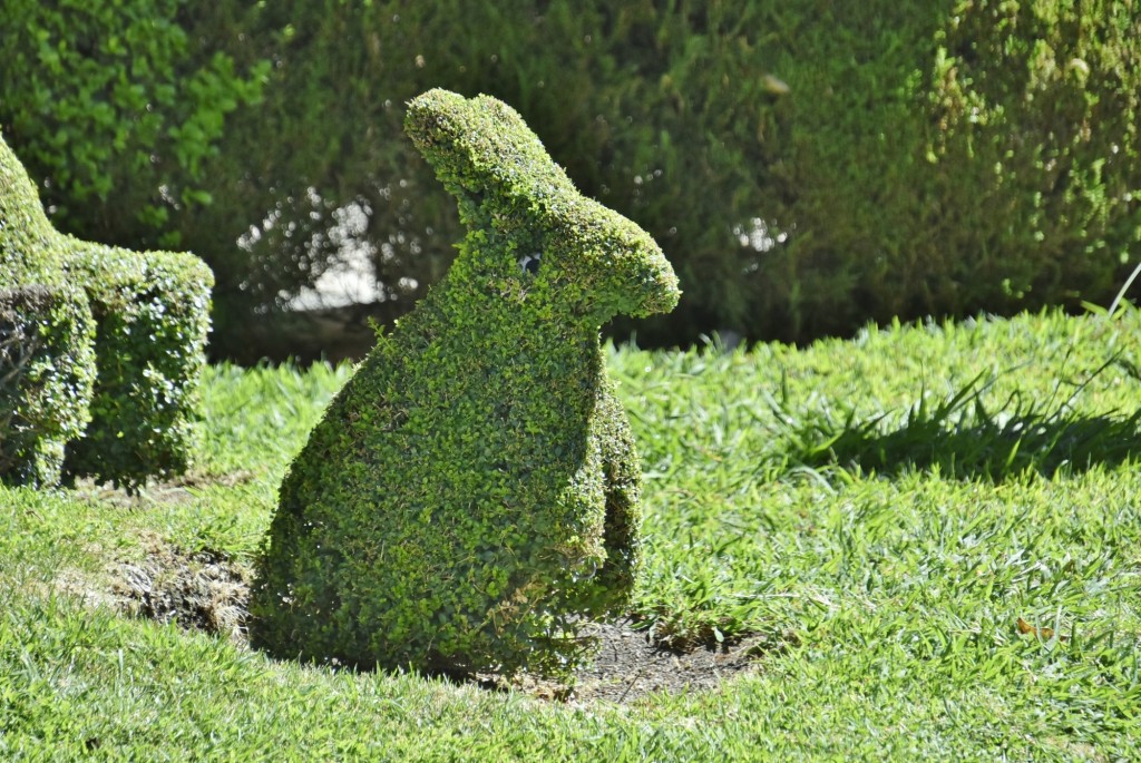 Foto: Arte vegetal - Losar de la Vera (Cáceres), España