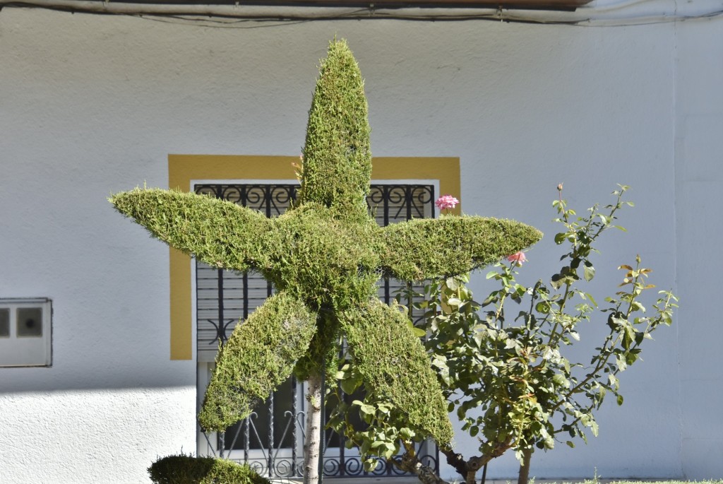 Foto: Arte vegetal - Losar de la Vera (Cáceres), España