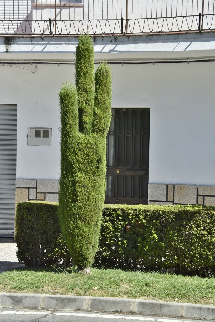 Foto: Arte vegetal - Losar de la Vera (Cáceres), España