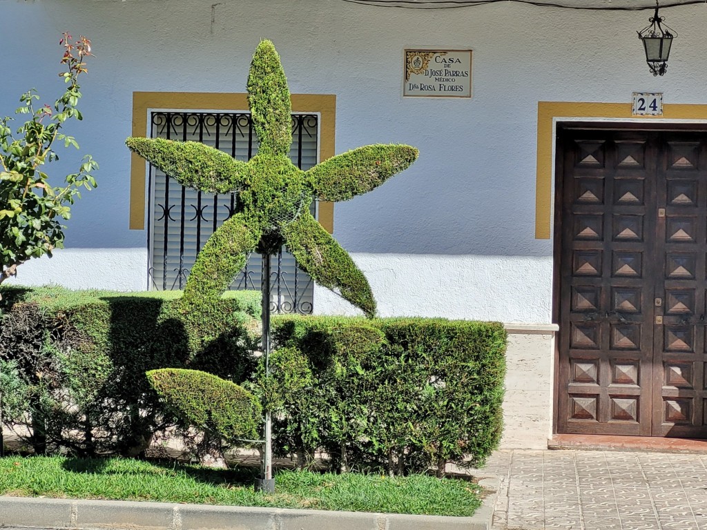 Foto: Arte vegetal - Losar de la Vera (Cáceres), España