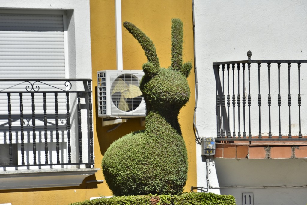 Foto: Arte vegetal - Losar de la Vera (Cáceres), España