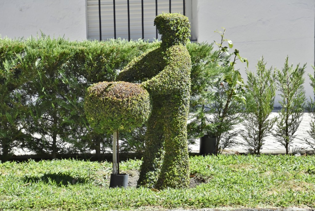 Foto: Arte vegetal - Losar de la Vera (Cáceres), España