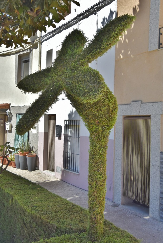 Foto: Arte vegetal - Losar de la Vera (Cáceres), España