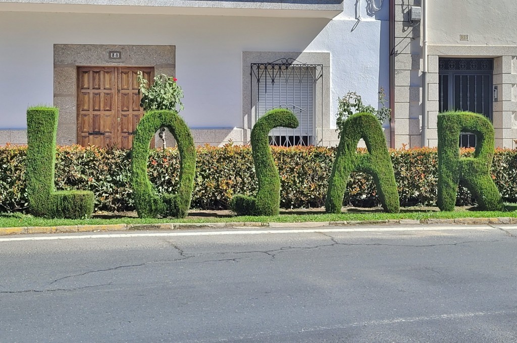 Foto: Arte vegetal - Losar de la Vera (Cáceres), España