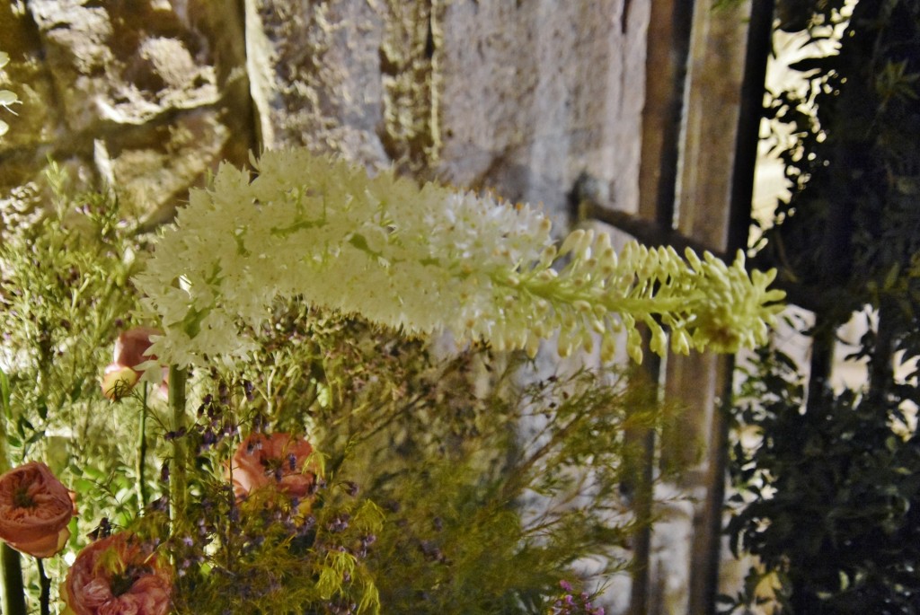 Foto: Tiempo de flores 2022 - Girona (Cataluña), España