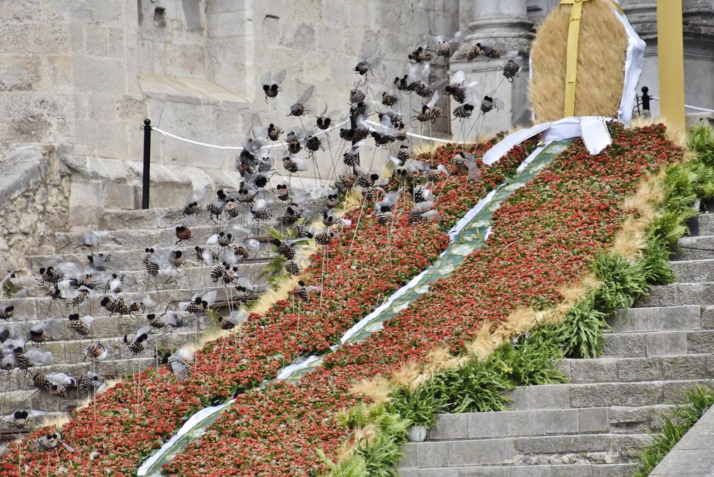 Foto: Tiempo de flores 2022 - Girona (Cataluña), España