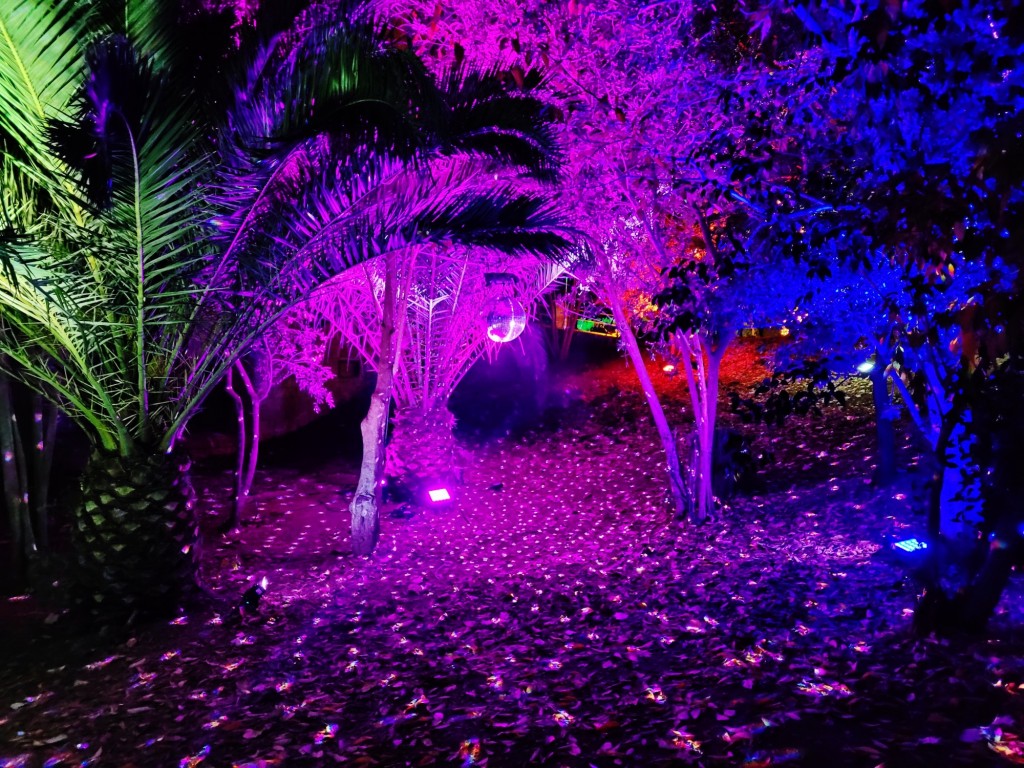 Foto: Las luces de Sant Pau - Barcelona (Cataluña), España