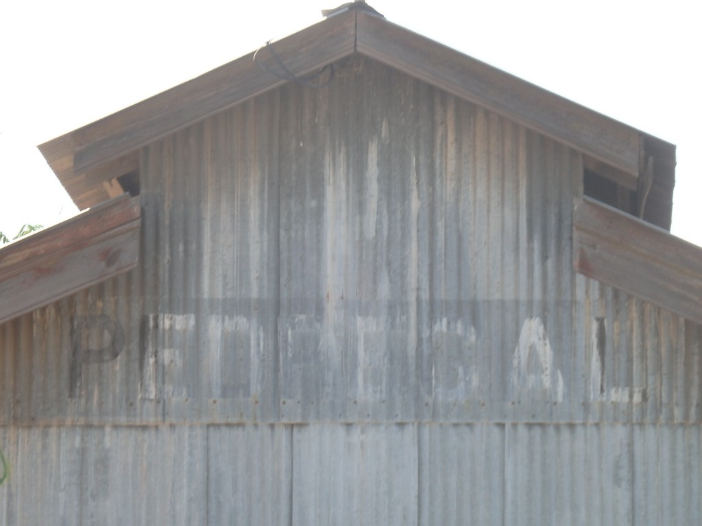 Foto: ex estación del FC San Martín - Pedregal (Mendoza), Argentina