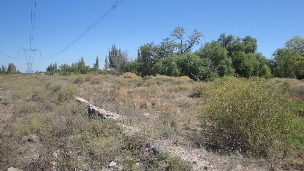 Foto: resto de la ex estación del FC San Martín - Chapanay (Mendoza), Argentina