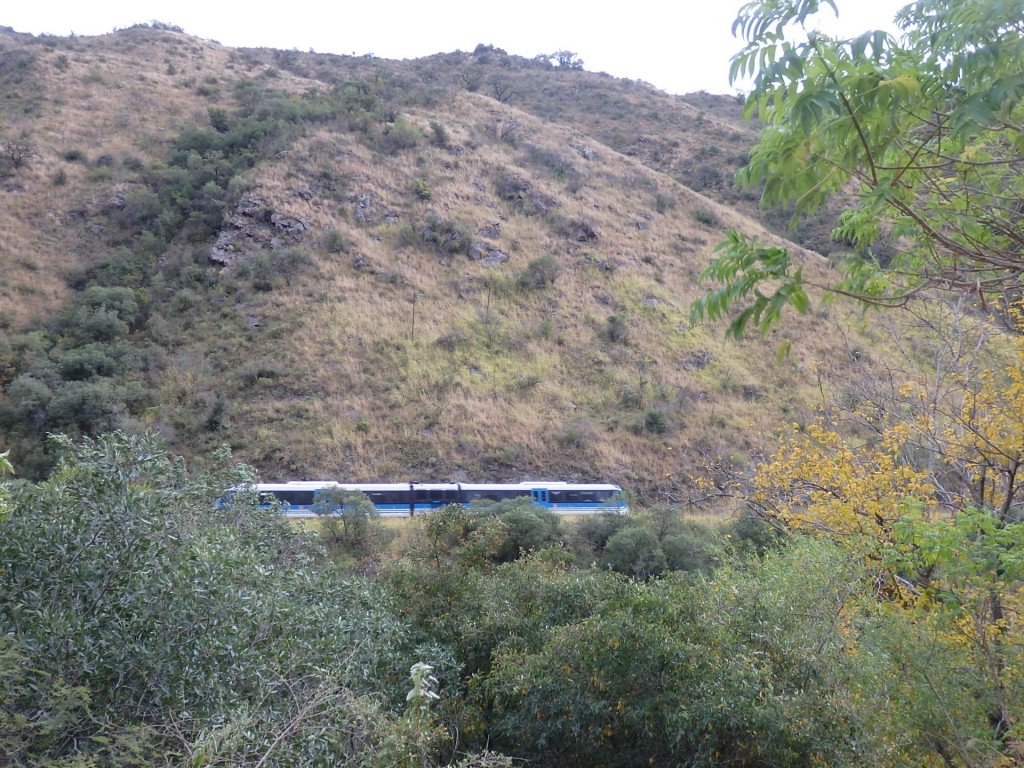 Foto: tren de Trenes Argentinos - Doctor Enrique Zárate (Córdoba), Argentina