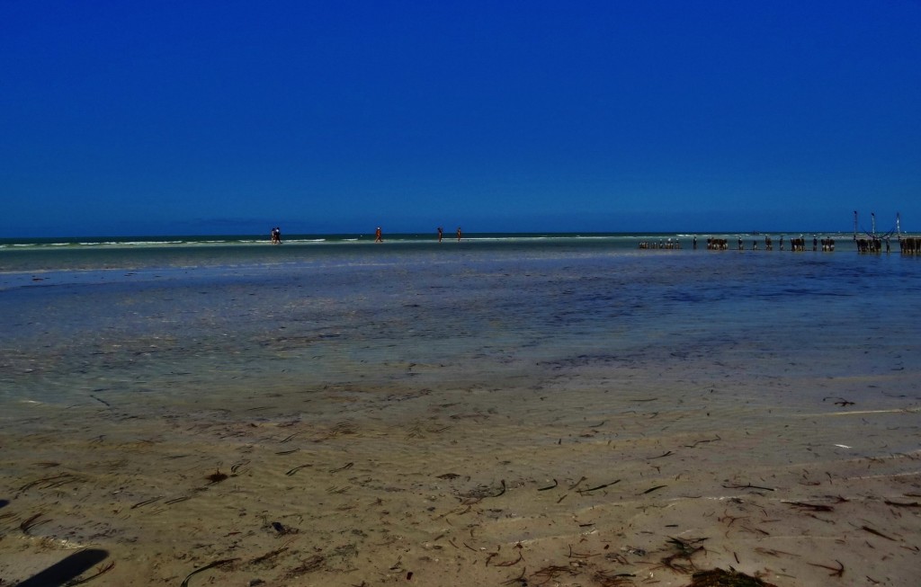 Foto: Playa Holbox - Holbox (Quintana Roo), México