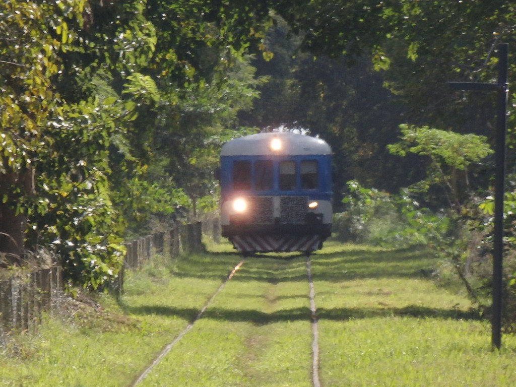 Foto: Tren Universitario (a) - La Plata (Buenos Aires), Argentina