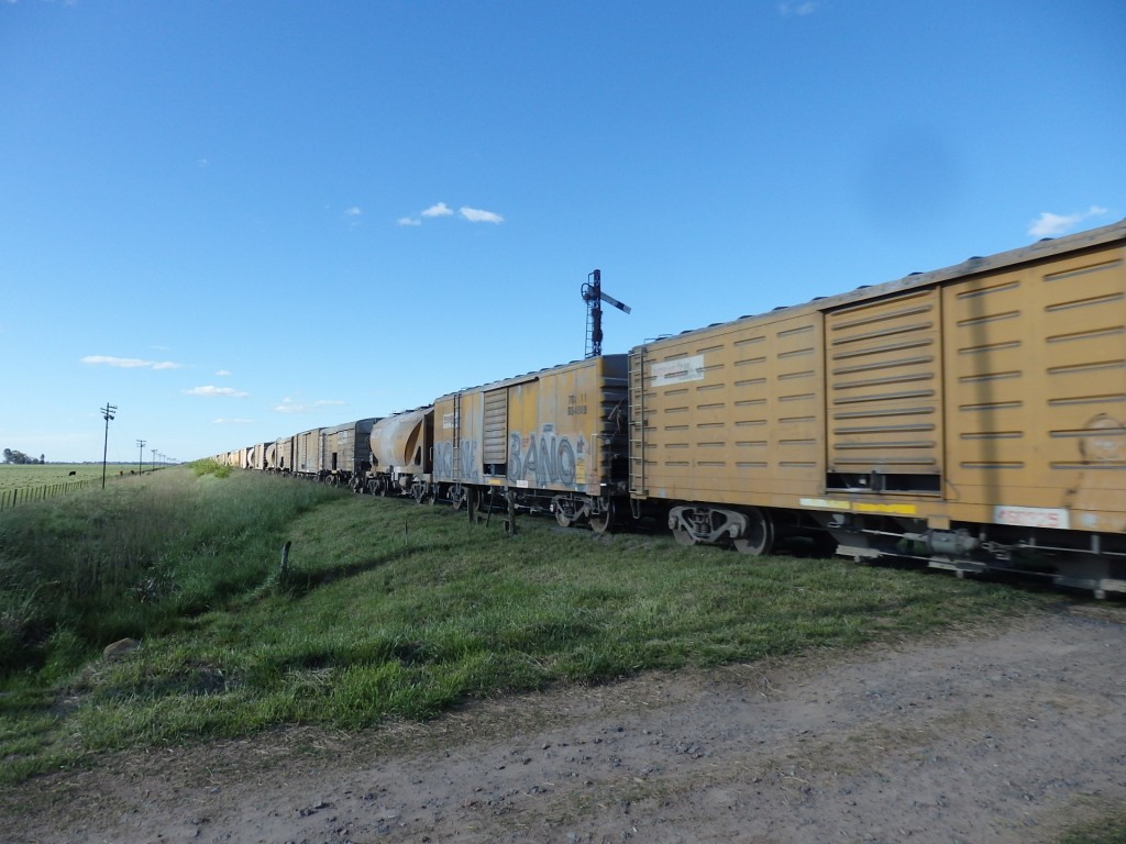 Foto: tren de Ferrosur Roca - La Noria (Buenos Aires), Argentina