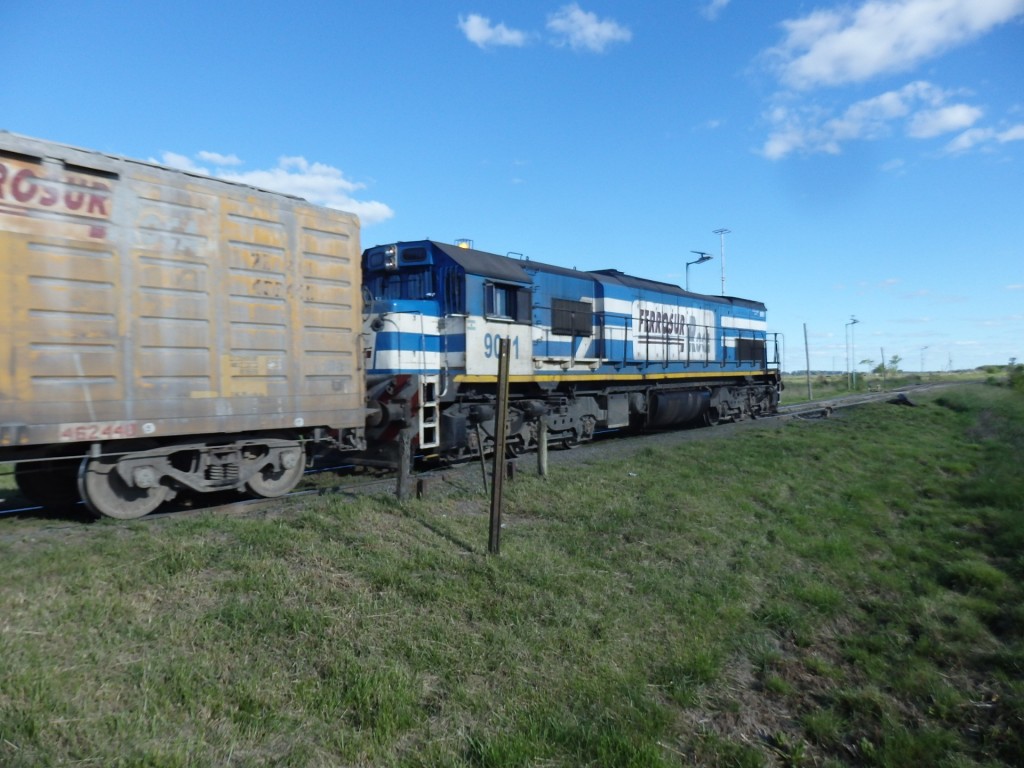 Foto: tren de Ferrosur Roca - La Noria (Buenos Aires), Argentina