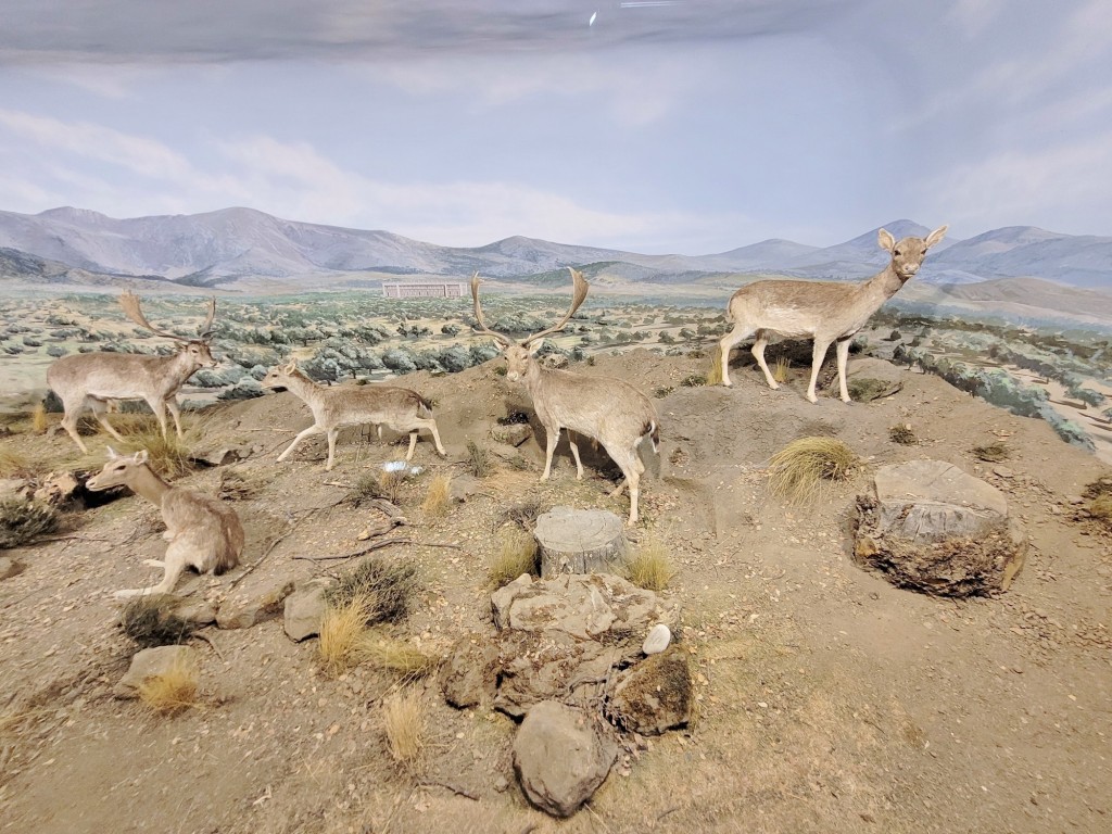 Foto: Diorama en el Palacio Real - Real Sitio de San Ildefonso (Segovia), España