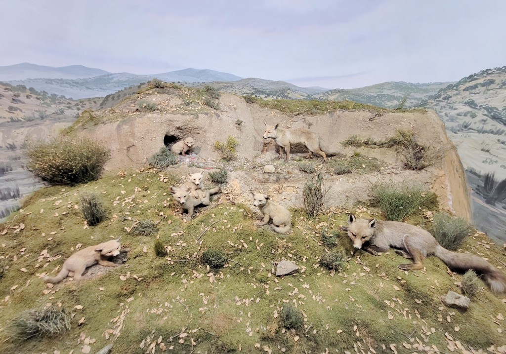 Foto: Diorama en el Palacio Real - Real Sitio de San Ildefonso (Segovia), España