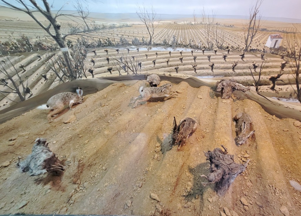 Foto: Diorama en el Palacio Real - Real Sitio de San Ildefonso (Segovia), España