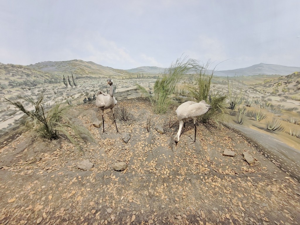 Foto: Diorama en el Palacio Real - Real Sitio de San Ildefonso (Segovia), España