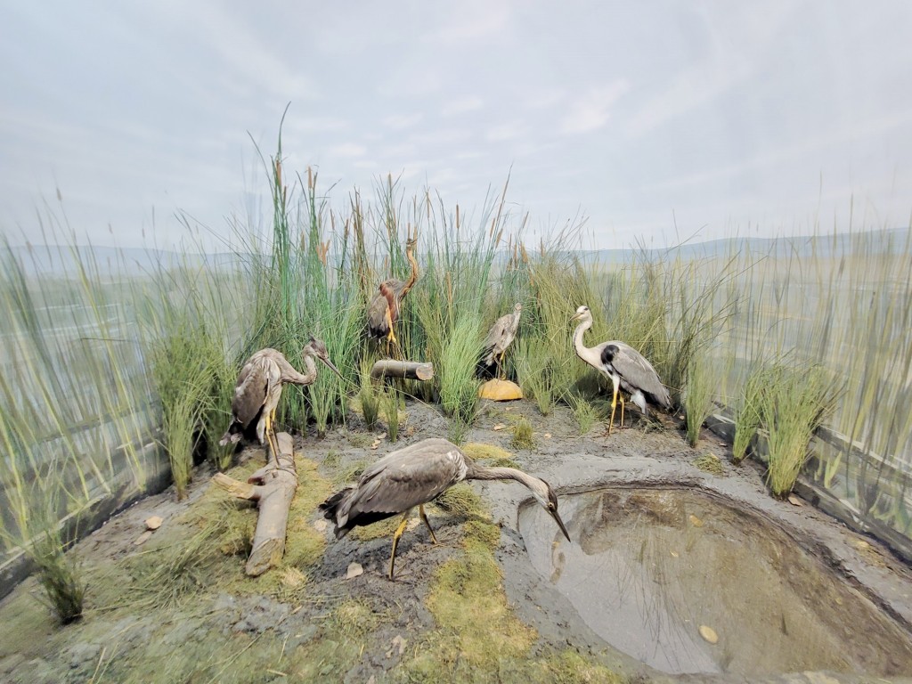 Foto: Diorama en el Palacio Real - Real Sitio de San Ildefonso (Segovia), España