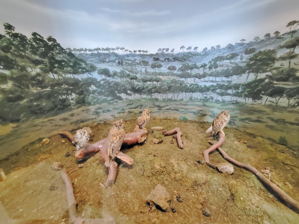 Foto: Diorama en el Palacio Real - Real Sitio de San Ildefonso (Segovia), España