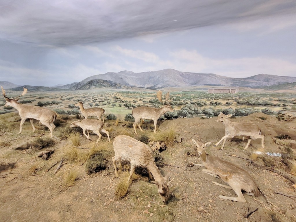 Foto: Diorama en el Palacio Real - Real Sitio de San Ildefonso (Segovia), España