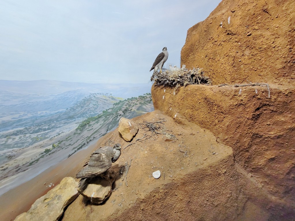 Foto: Diorama en el Palacio Real - Real Sitio de San Ildefonso (Segovia), España