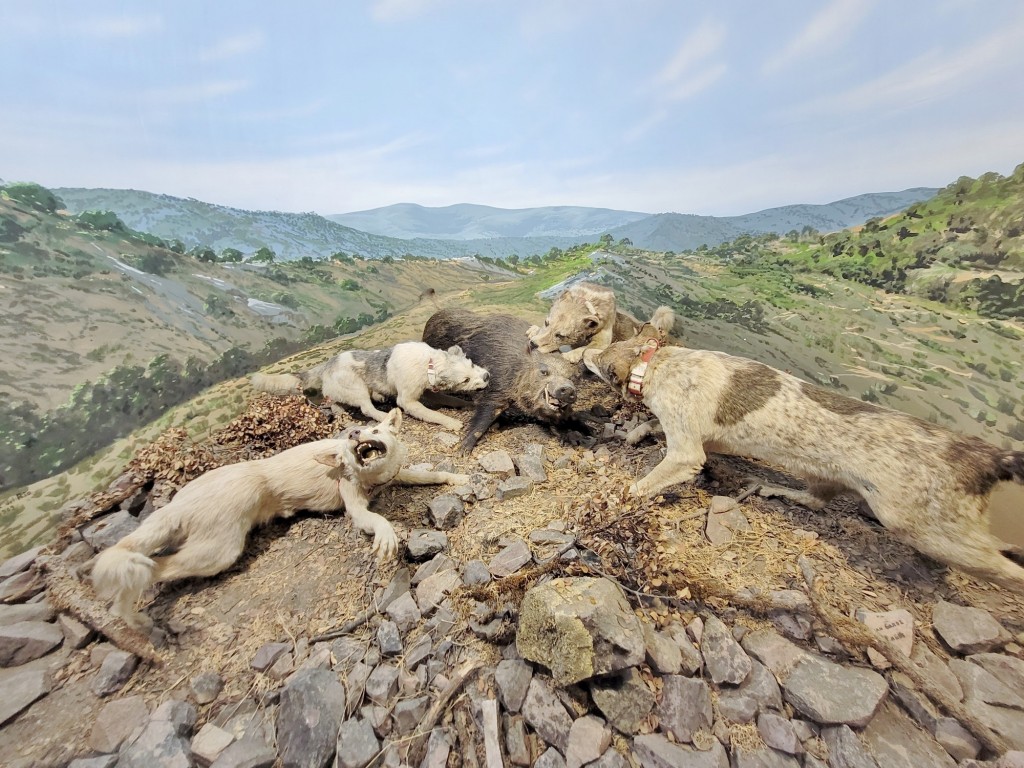 Foto: Diorama en el Palacio Real - Real Sitio de San Ildefonso (Segovia), España