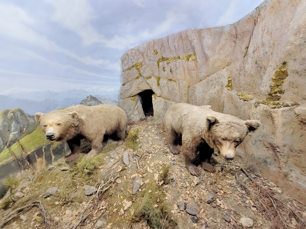 Foto: Diorama en el Palacio Real - Real Sitio de San Ildefonso (Segovia), España