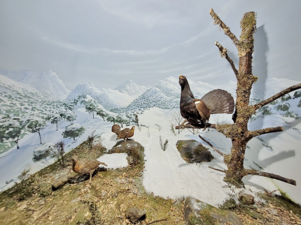 Foto: Diorama en el Palacio Real - Real Sitio de San Ildefonso (Segovia), España