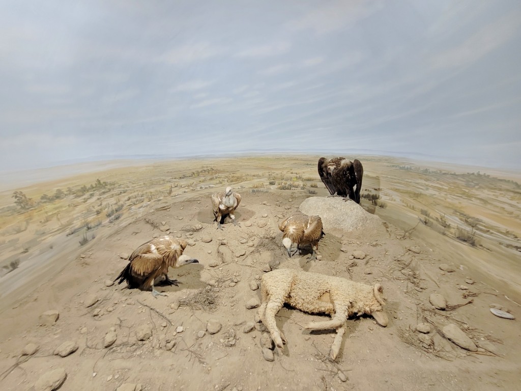 Foto: Diorama en el Palacio Real - Real Sitio de San Ildefonso (Segovia), España