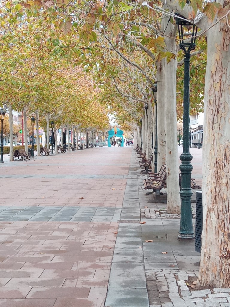 Foto: Navidad 2022 Paseo Baron de Warsage - Calatayud (Zaragoza), España