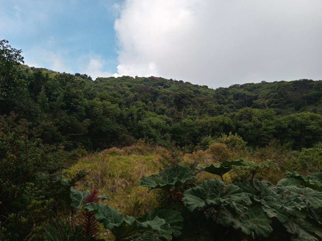 Foto de Parque Natural de Poás, Costa Rica