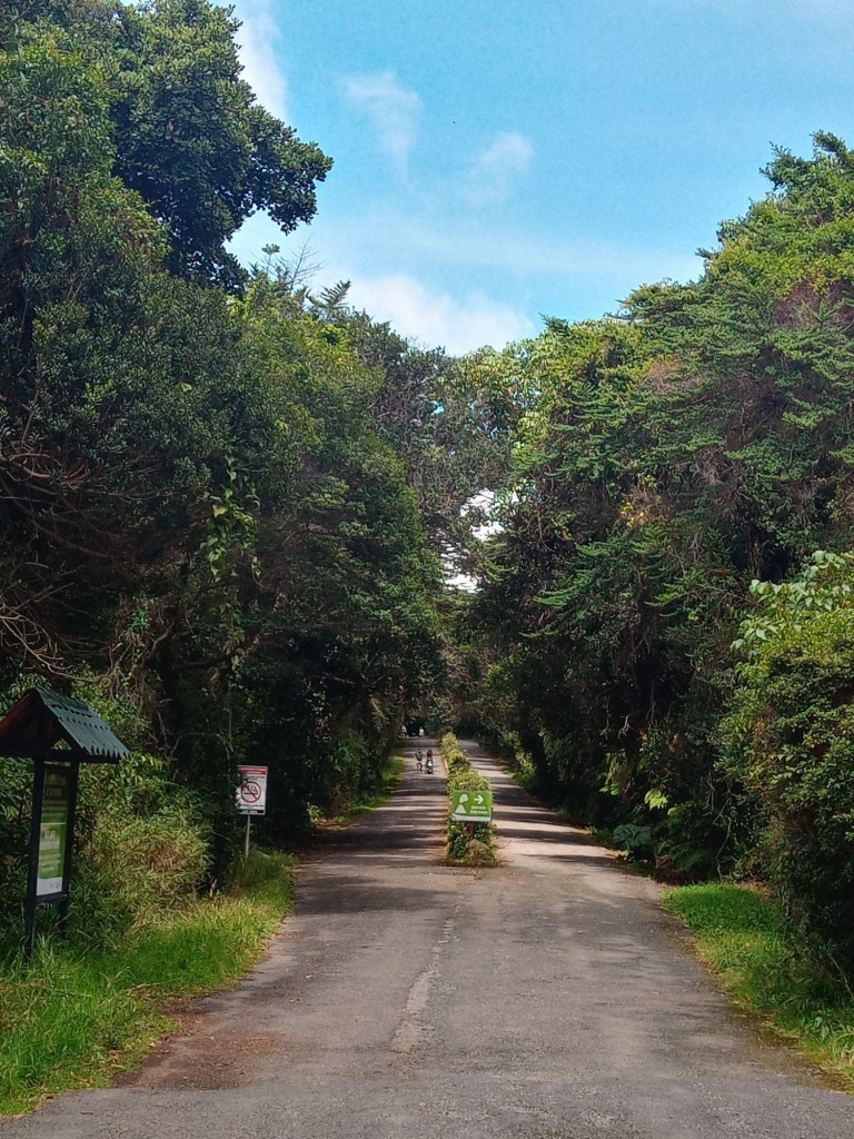 Foto de Parque Natural de Poás, Costa Rica