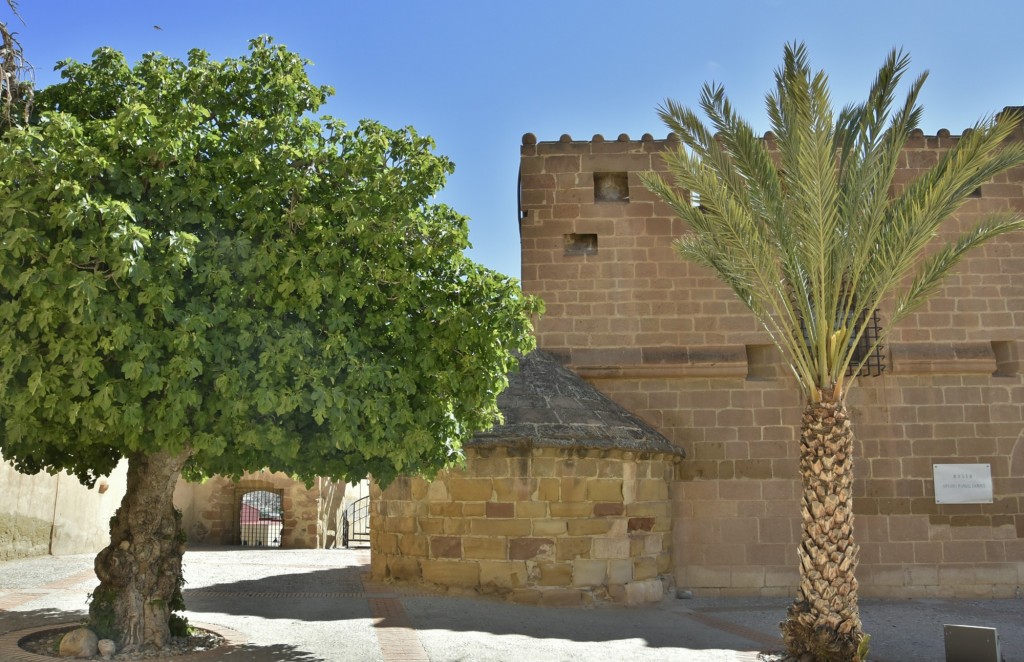 Foto: Castillo del Marqués de los Vélez - Cuevas del Alamanzora (Almería), España