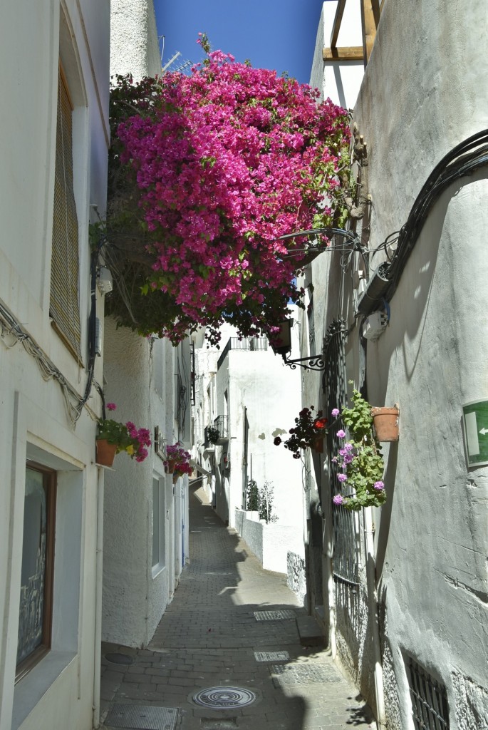 Foto: Centro histórico - Mojácar (Almería), España