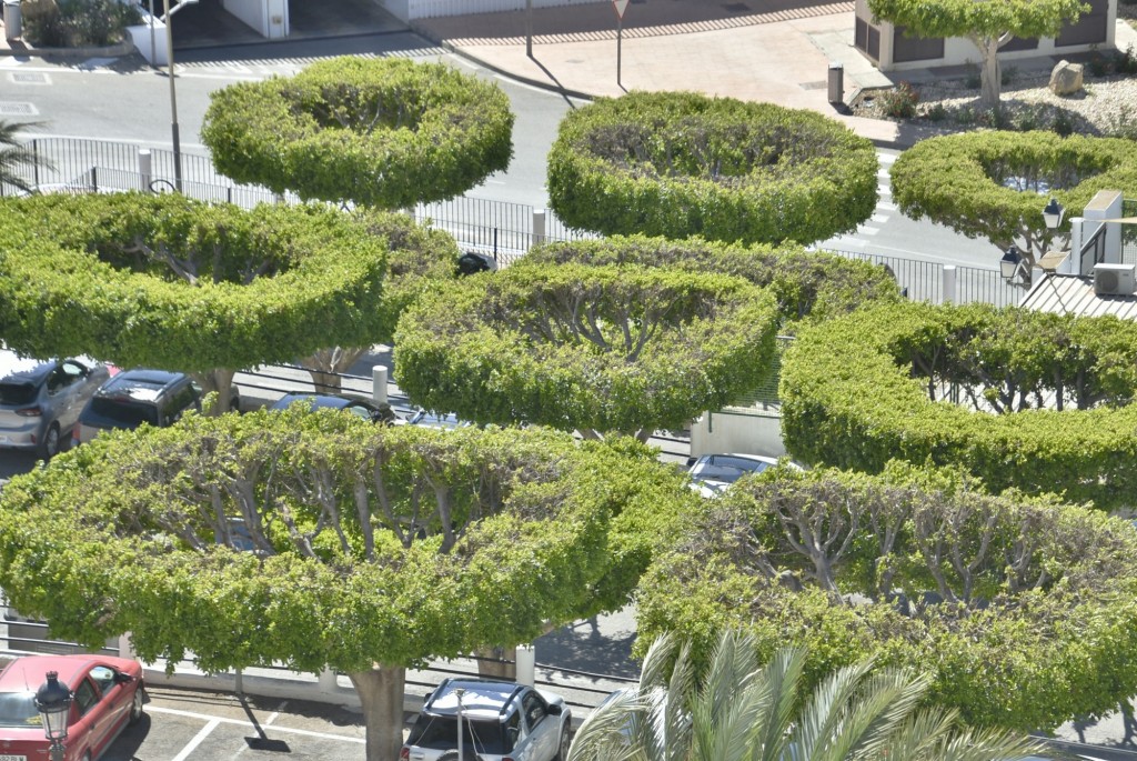 Foto: Aparcamiento - Mojácar (Almería), España