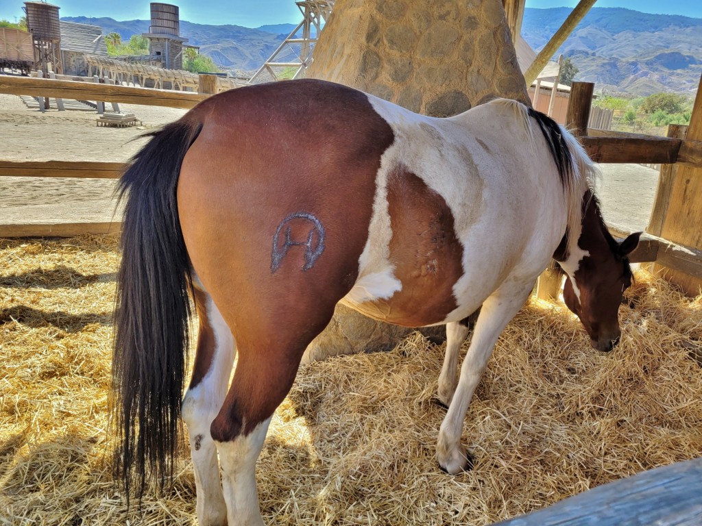 Foto: Oasys Minihollywood - Tabernas (Almería), España