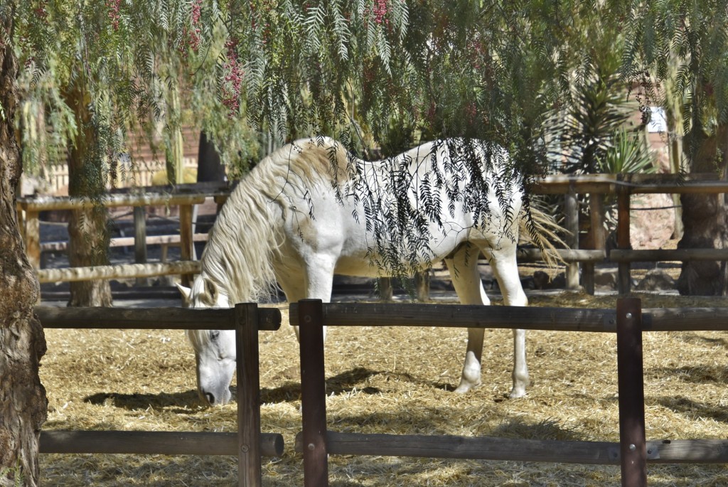 Foto: Oasys Minihollywood - Tabernas (Almería), España