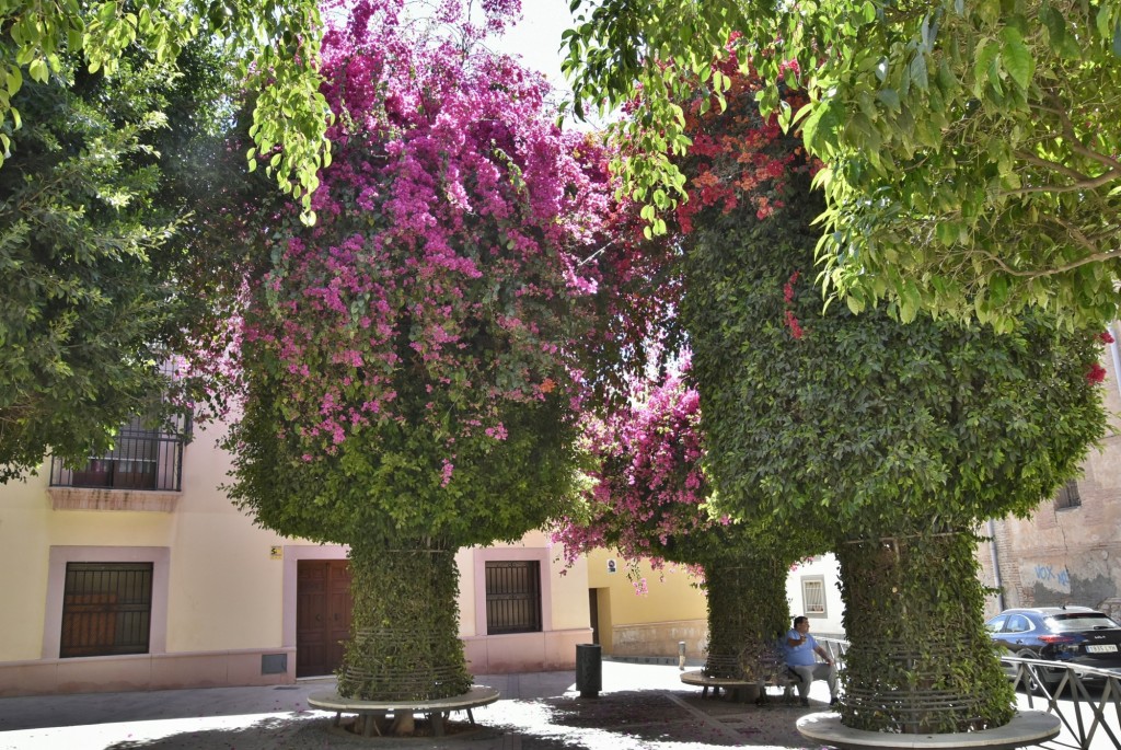 Foto: Centro histórico - Almería (Andalucía), España