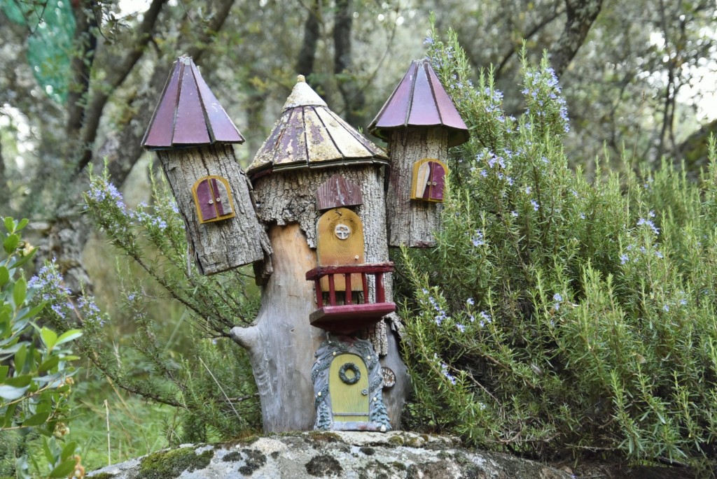 Foto: El bosque encantado - San Martín de Valdeiglesias (Madrid), España