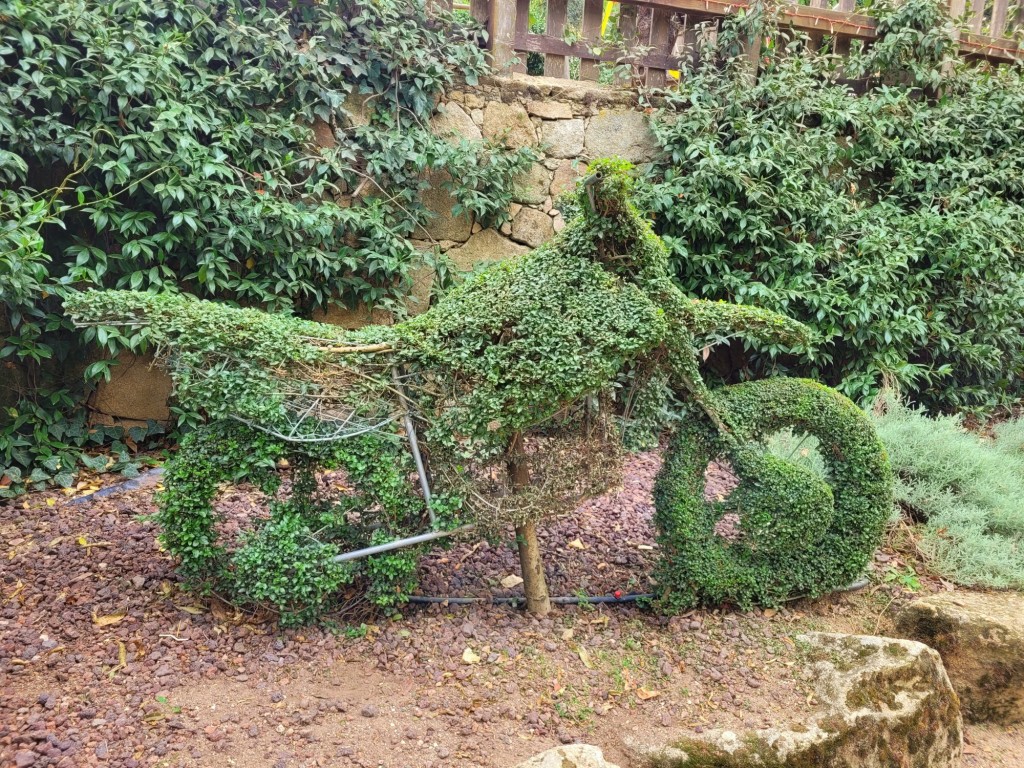 Foto: El bosque encantado - San Martín de Valdeiglesias (Madrid), España