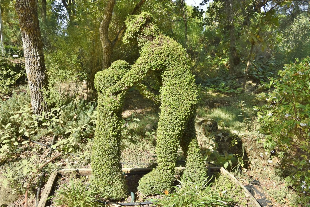 Foto: El bosque encantado - San Martín de Valdeiglesias (Madrid), España