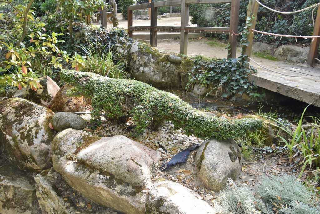 Foto: El bosque encantado - San Martín de Valdeiglesias (Madrid), España