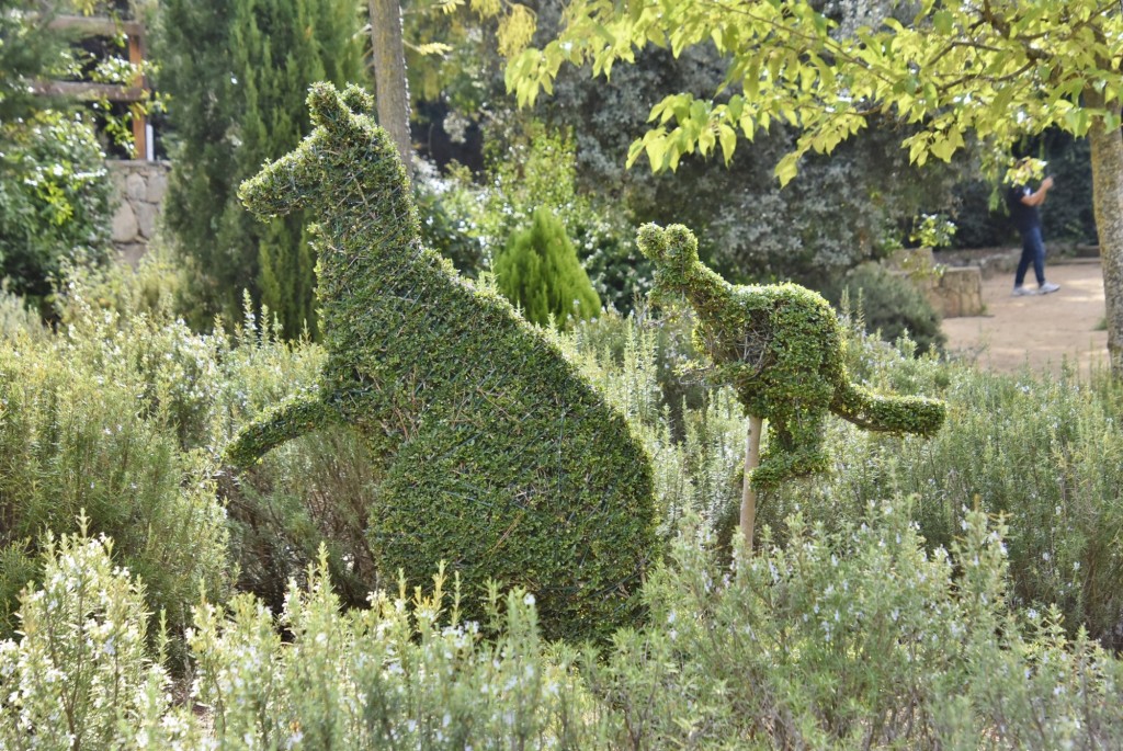 Foto: El bosque encantado - San Martín de Valdeiglesias (Madrid), España