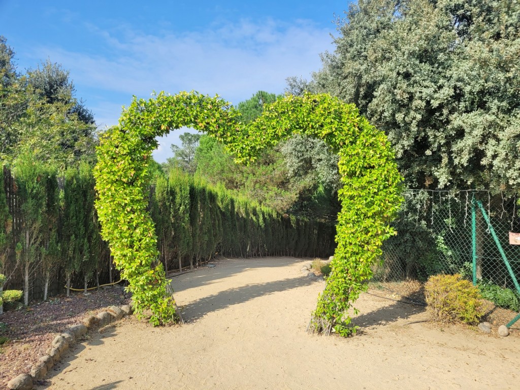 Foto: El bosque encantado - San Martín de Valdeiglesias (Madrid), España