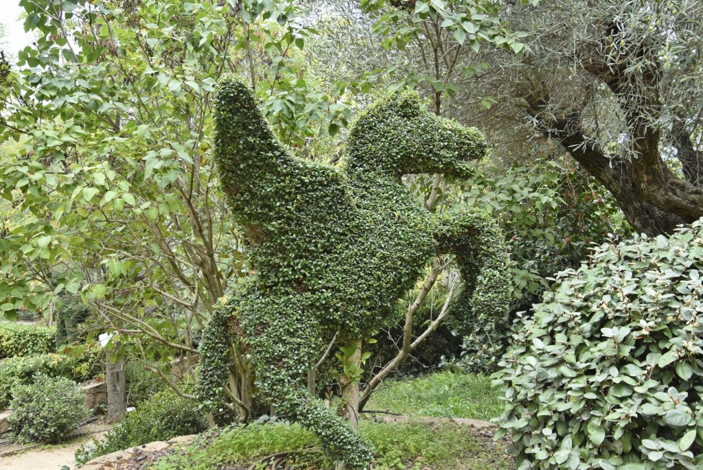 Foto: El bosque encantado - San Martín de Valdeiglesias (Madrid), España